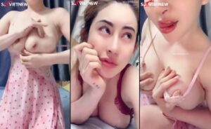 Gấu misa