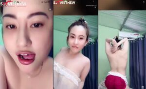 Gấu misa